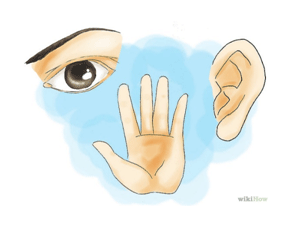 eyes hand nose