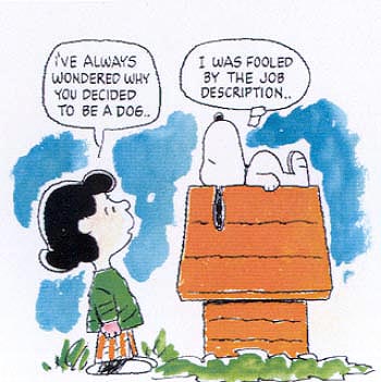 snoopy fooled by job description